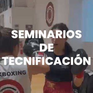 Seminarios de tecnificación de kickbooxing