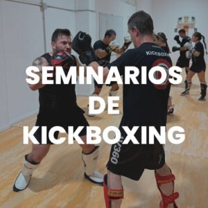 Seminario de kickboxing